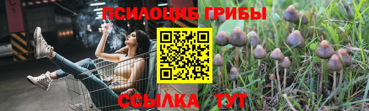 Тулун  Галлюциногенные грибы MAGIC MUSHROOMS  Вход с VPN 