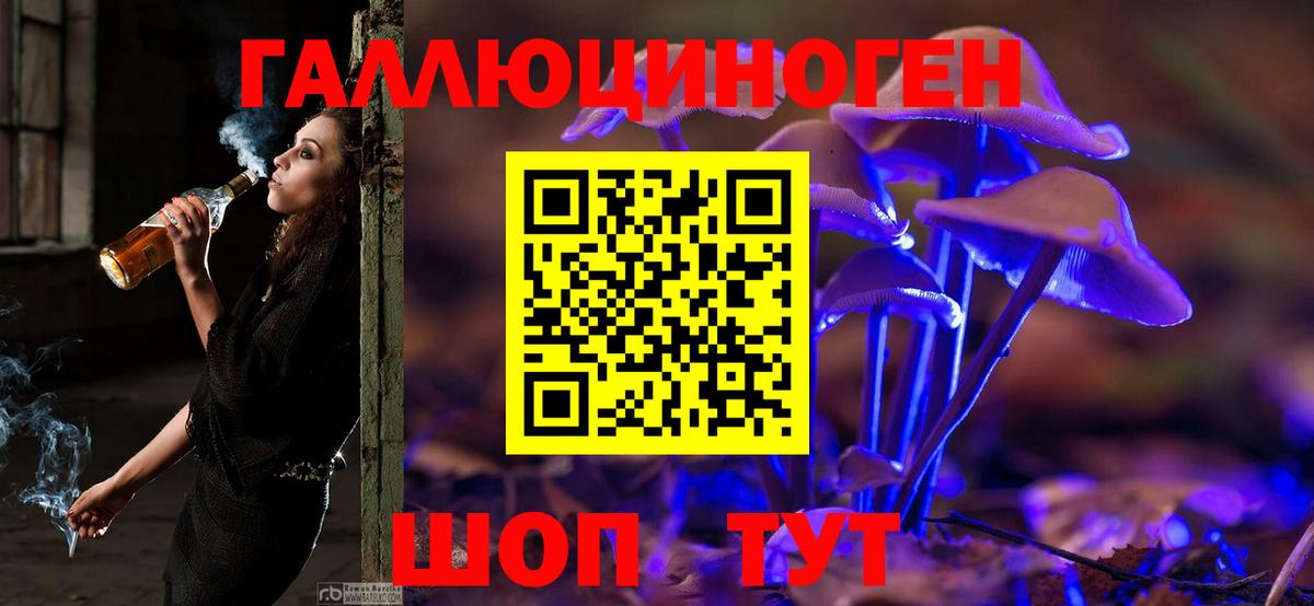 Галлюциногенные грибы Psilocybine cubensis Тулун